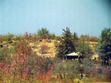 Gürcüstandakı tarixi abidələrimiz bərpa olunacaq
