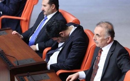 Müğənni-deputat parlamentdə yatdı
