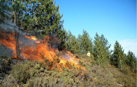 Şahdağ Milli Parkında yenidən yanğın olub