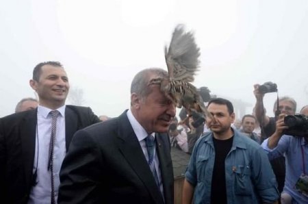 Ərdoğanın başına kəklik qondu