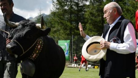 Blatterə inək bağışladılar