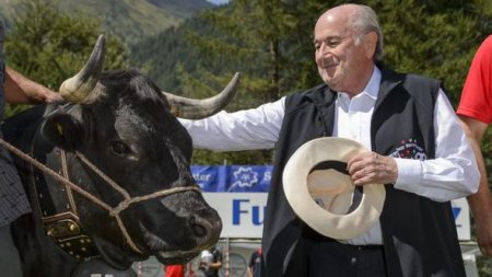 Blatterə inək bağışladılar