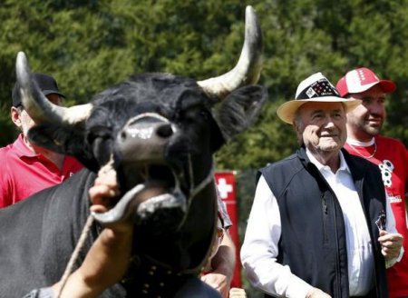 Blatterə inək bağışladılar