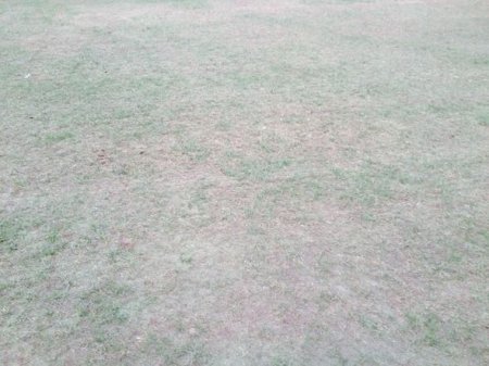 Tofiq Bəhramov stadionu: Stadion yoxsa tank poliqonu?