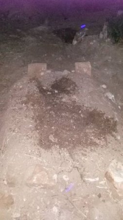 Suriyada daha bir azərbaycanlı öldürüldü