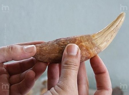 Ermənilər Azıx mağarasının altını üstünə çevirirlər