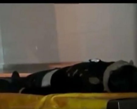 Şamaxıda taksi sürücüsünü öldürənlərin hər biri 20 il cəza aldılar
