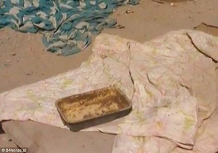 Çilidə yeni “Mauqli” tapıldı