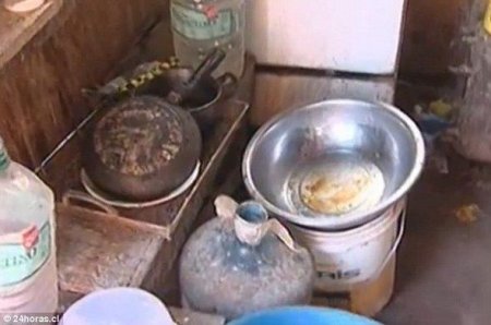 Çilidə yeni “Mauqli” tapıldı