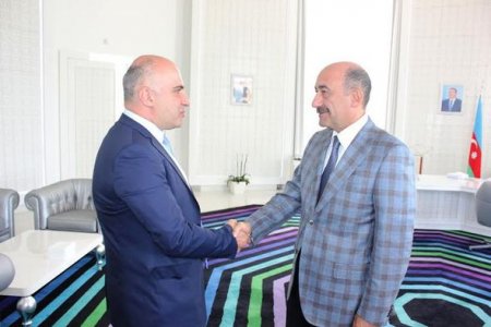 Nazir: Azərbaycan Gürcüstanın təcrübəsindən faydalana bilər
