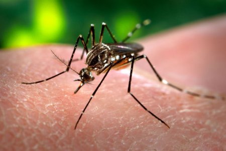 Tayvanda virus yayılır: 10 min nəfər yoluxan var