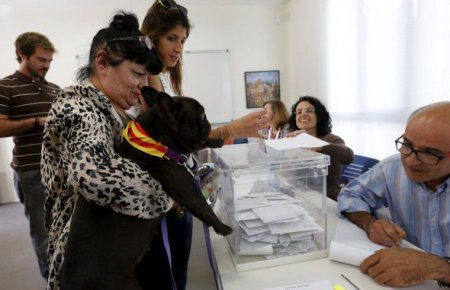 Kataloniya müstəqillik üçün səs verdi