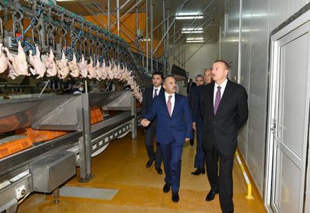 İlham Əliyevin Ucar və Göyçay rayonlarına səfəri İlham Əliyevin Ucar və Göyçay rayonlarına səfəri