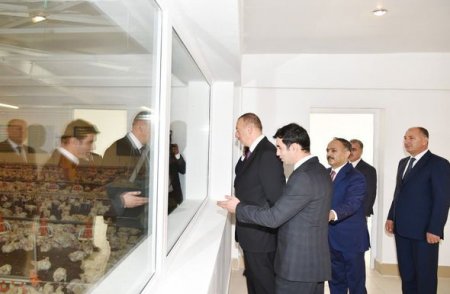 İlham Əliyevin Ucar və Göyçay rayonlarına səfəri İlham Əliyevin Ucar və Göyçay rayonlarına səfəri