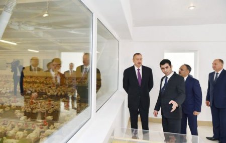 İlham Əliyevin Ucar və Göyçay rayonlarına səfəri İlham Əliyevin Ucar və Göyçay rayonlarına səfəri