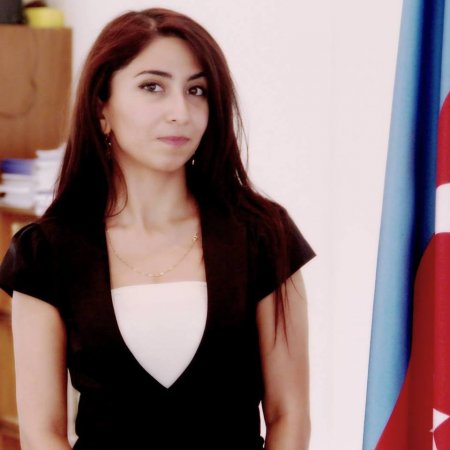 DİP-i təmsil edən xanım namizəd kimi qeydə alındı