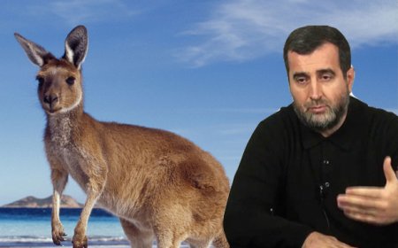 Kenquru əti halaldır yoxsa haram? - İlahiyyatçı rəyi