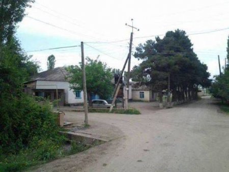 Putin evlənmək üçün Tovuzdan qız axtarıb