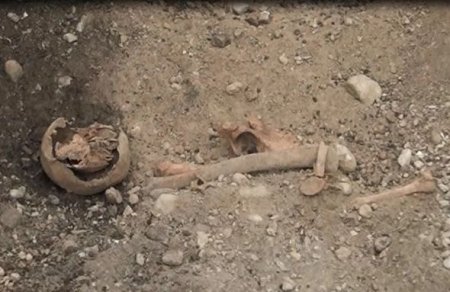 Şəkidə “qızılaxtaranlar”a qarşı cinayət işi başlayıb