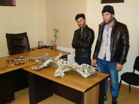IDEA bəbirin ovlanması ilə bağlı narazılığını bildirdi