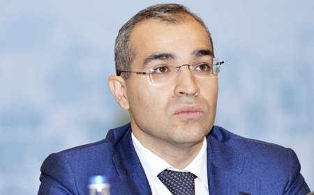Mikayıl Cabbarova yeni müşavir təyin edildi