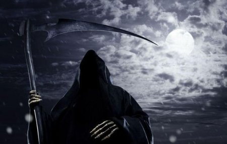 Alimlər “ölüm qoxusu”nun tərkibini müəyyən etdilər