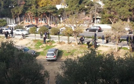 Leyla Əliyevanın təşəbbüsü ilə əkilən ağacları kim məhv etdi?