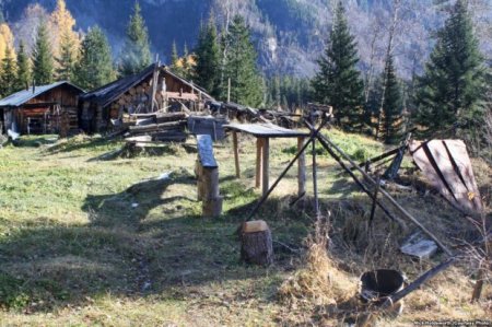 30 ildir meşədə tənha yaşayan məşhur tərkidünya qadın