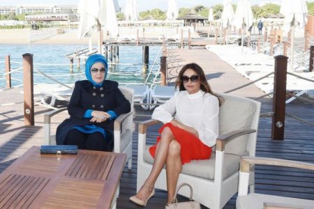 Azərbaycanın və Türkiyənin birinci xanımlarının görüşü