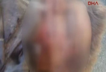 Suriyada vurulan rus təyyarəsinin pilotu