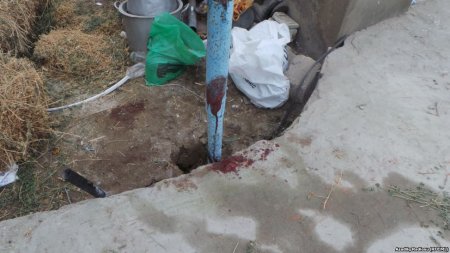 Nardaran atışmadan sonra