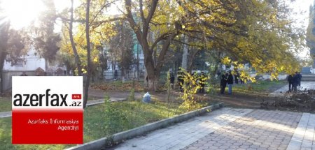 Rəsulzadənin büstü çuvaldan xilas oldu
