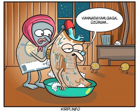Aşağı düşürəm, nəsə lazımdır? - Manatın halına güldülər