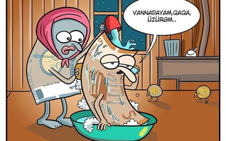 Aşağı düşürəm, nəsə lazımdır? - Manatın halına güldülər