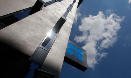 OPEK hasilatı rekord həddə çatdırıb