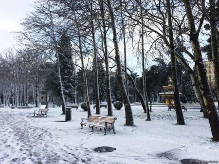 Bakının qarlı günləri