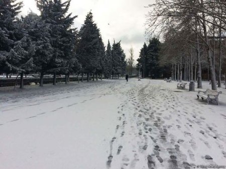 Bakının qarlı günləri