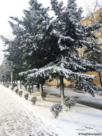 Bakının qarlı günləri