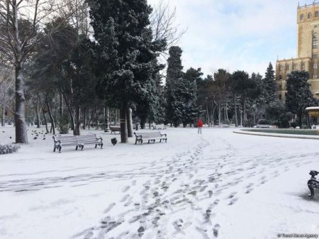 Bakının qarlı günləri
