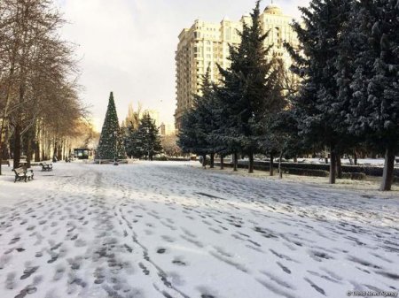 Bakının qarlı günləri