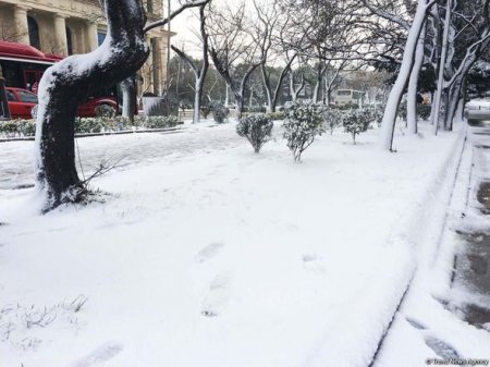 Bakının qarlı günləri