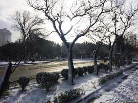 Bakının qarlı günləri