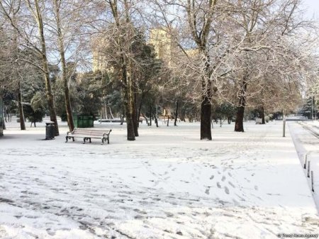 Bakının qarlı günləri