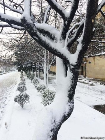 Bakının qarlı günləri