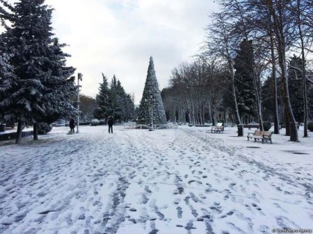 Bakının qarlı günləri