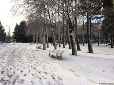 Bakının qarlı günləri