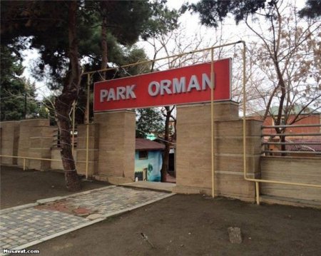 Məşhur restoran əxlaqsızlıq yuvası imiş