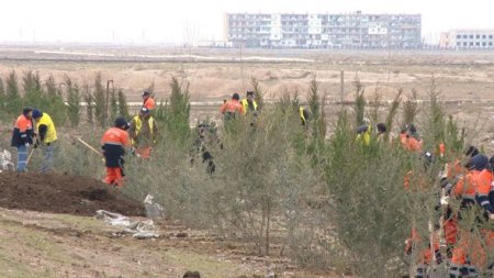 “Azəryolservis”: 14 500 ağac əkildi