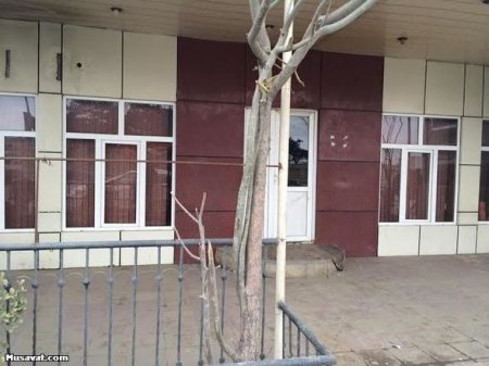 Polislərin bıçaqlandığı əxlaqsızlıq yuvası bağlandı