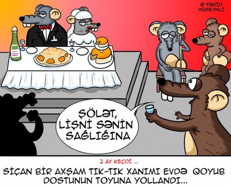 Siçandan qaçan "Tık-tık" xanım Dubaya getdi